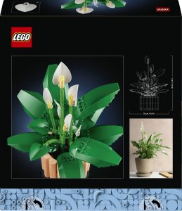 LEGO Botanicals Skrzydłokwiat (11504) 7