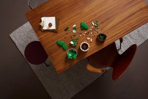 LEGO Botanicals Skrzydłokwiat (11504) 2