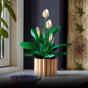 LEGO Botanicals Skrzydłokwiat (11504) 5