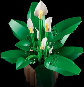 LEGO Botanicals Skrzydłokwiat (11504) 6