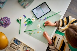 LEGO Botanicals Stokrotki (11508) 3