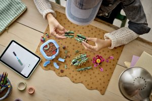 LEGO Botanicals Kwitnący kaktus (11509) 4