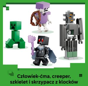 LEGO Minecraft Blady ogród (21586) 5