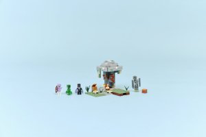 LEGO Minecraft Blady ogród (21586) 2