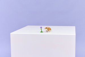 LEGO Creator Uroczy chomik z kwiatkiem (31376) 2