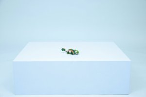 LEGO Creator Żółw i kwiat lilii wodnej (31377) 2