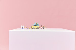 LEGO Friends Furgonetka z akcesoriami dla zwierząt (42678) 2