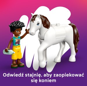 LEGO Friends Lecznica dla zwierząt (42696) 6