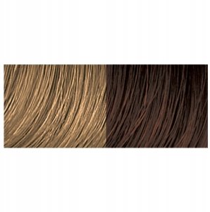 Aveda Full Spectrum Permanent Hair Color Protective Creme farba do włosów Light Y/V 28g 2