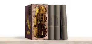 Revell Tiny Adventures Diagon Alley-Harry Potter, Passenger ship model, Assembly kit, 1:24, Any gender, Wood 10