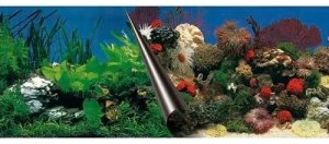 Tło do akwarium, skały/rafa koralowa, 120x50 cm 2