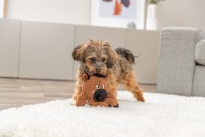 Potworek, zabawka, dla psa, plusz, 25 cm, z dźwiękiem 3