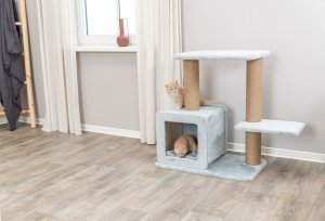 Elena, drapak stojący, dla kota, szałwia, 83 cm 9