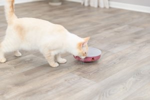 Trixie Cat Activity Rocking Maze edukacyjna zabawka, dla kota, plastik, 18 cm 13