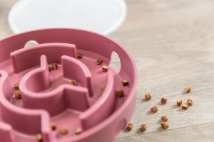 Trixie Cat Activity Rocking Maze edukacyjna zabawka, dla kota, plastik, 18 cm 7