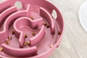 Trixie Cat Activity Rocking Maze edukacyjna zabawka, dla kota, plastik, 18 cm 9