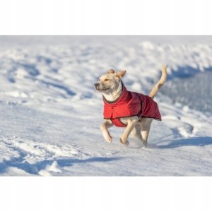 Trixie Explore Thermo, zimowy płaszczyk, dla psa, sangria, S: 35 cm 2