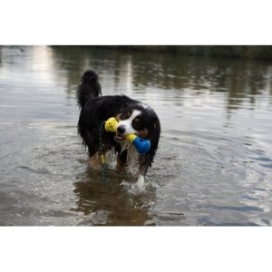 Zeus Nitro, kość z linką, zabawka, dla psa, 26 cm, pływająca 7