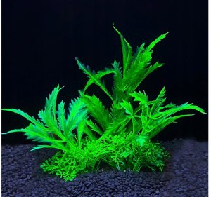 Terra Natura Aqua Natura, roślina do dekoracji akwarium, zielona, plastikowa, 12 cm, rozłożyste liście 2