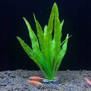 Terra Natura Aqua Natura, roślina do dekoracji akwarium, zielona, plastikowa, 18 cm, wodorost leśny 2