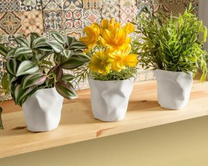 Przybornik i doniczki Zgniecione Kubeczki 3 szt. 4