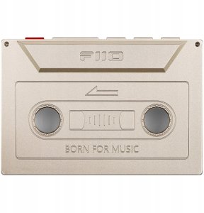 FiiO SK-M21C Retro Case - titanium gold - Dedykowane etui dla odtwarzacza M21 3
