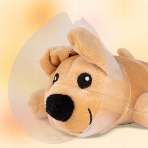 Zestaw Mały Weterynarz - Pluszowy Piesek z Budą i Akcesoriami Lekarskimi 5