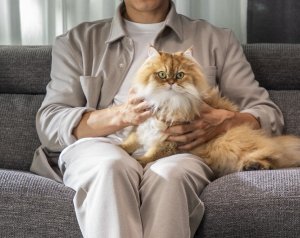 Odkurzacz Rowenta GZ 5035 X-clean Wet & Dry odkurzacz na mokro i na sucho 15