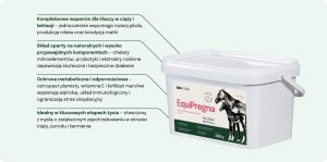 LAB V Lab-v EquiPregna Mieszanka paszowa uzupełniająca dla klaczy ciężarnych i karmiących 2000g 2