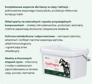 LAB V Lab-v EquiPregna Mieszanka paszowa uzupełniająca dla klaczy ciężarnych i karmiących 2000g 3