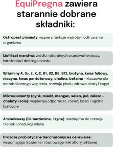 LAB V Lab-v EquiPregna Mieszanka paszowa uzupełniająca dla klaczy ciężarnych i karmiących 2000g 4