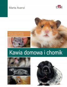 Kawia domowa i chomik 2