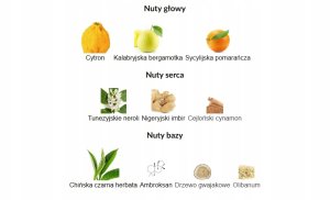 Grandeur Illusion Eau De Parfum 100 ml (man) 3