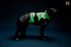 JACKET FOR DOGS FLUO BLACK. WHITE 50 5