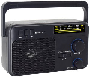 Radio FM TRACER GTX100 195