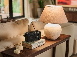 Radio FM TRACER GTX100 215