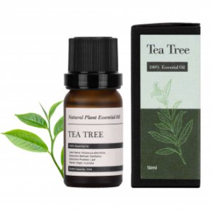 Natura Optima Olejek eteryczny Humanas Natural Scents* 10 ml - drzewo herbaciane 201