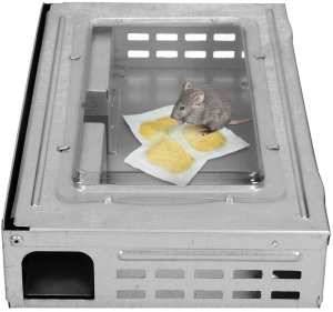 Wabik Przynęta Zanęta na Szczury Myszy Gryzonie do Pułapek Chwytaczy Łapek Myszołapek Przeciw Gryzoniom "Rodent Magnet" 400g 11
