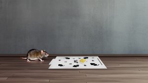 Wabik Przynęta Zanęta na Szczury Myszy Gryzonie do Pułapek Chwytaczy Łapek Myszołapek Przeciw Gryzoniom "Rodent Magnet" 400g 7