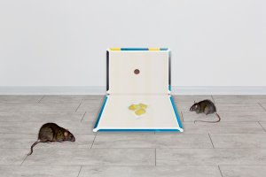 Wabik Przynęta Zanęta na Szczury Myszy Gryzonie do Pułapek Chwytaczy Łapek Myszołapek Przeciw Gryzoniom "Rodent Magnet" 400g 8