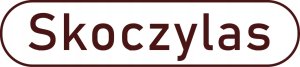 SKOCZYLAS_Na Plamki Cynk i witamina E suplement diety 60 kapsułek 3