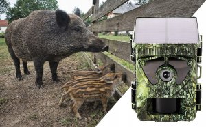 78-964# Kamera myśliwska blow km800w wifi z panelem solarnym 4