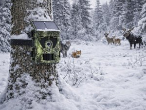 78-964# Kamera myśliwska blow km800w wifi z panelem solarnym 6