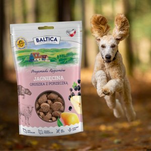 BALTICA PRZYSMAKI REGIONÓW Jagnięcina z gruszką 100g 2