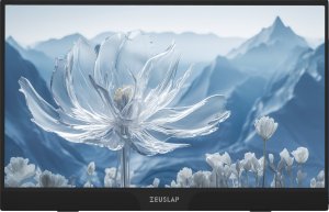 Monitor Zeuslap Z15ST 2