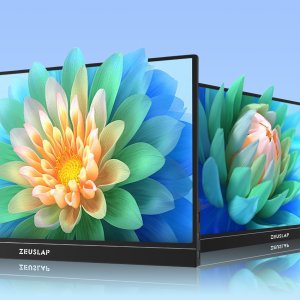 Monitor Zeuslap ZP156K 8