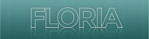 Floria ZLN1269 Czajnik z gwizdkiem 3L ZLN1269 (8682744811269) 8