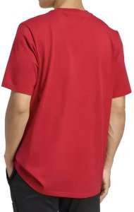 Koszulka adidas Liverpool FC Seasonal DNA Graphic Tee 2 JY3466 2