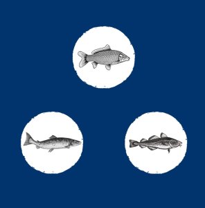 EDEN  Eden Fish Cuisine medium and large breeds 2kg 3