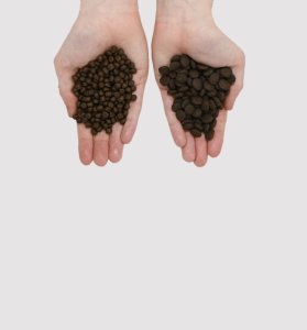 EDEN  Eden Fish Cuisine medium and large breeds 2kg 5